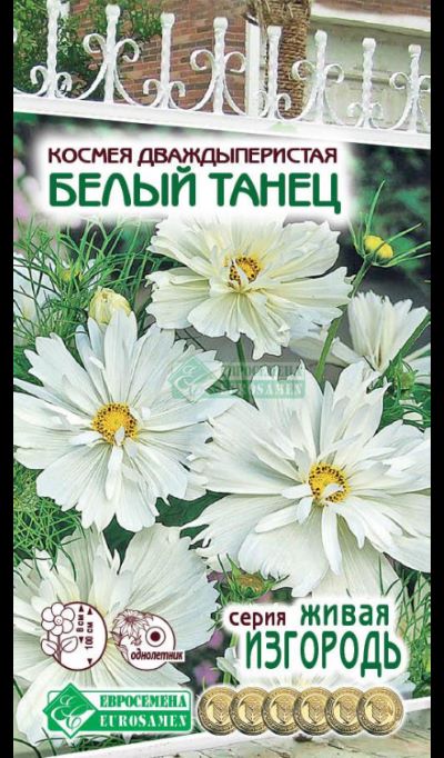 ОсновноеИзображение