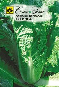 Семена Капуста пекинская Гидра F1  0,5 г Семко 