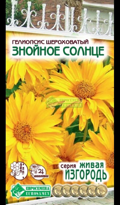 ОсновноеИзображение