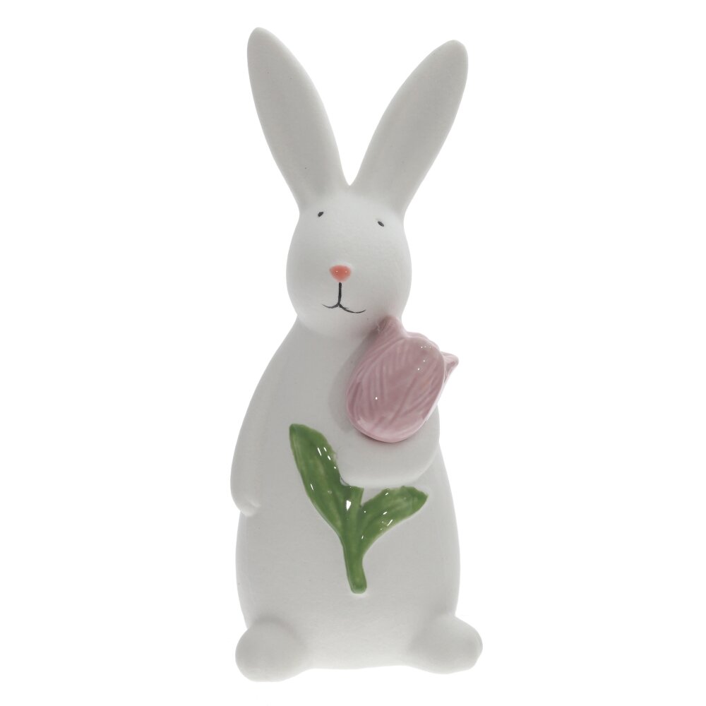 ОсновноеИзображение