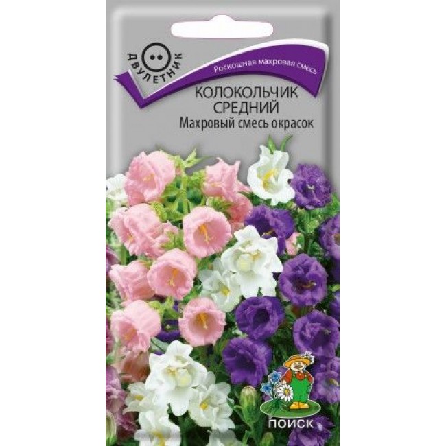 Основное изображение