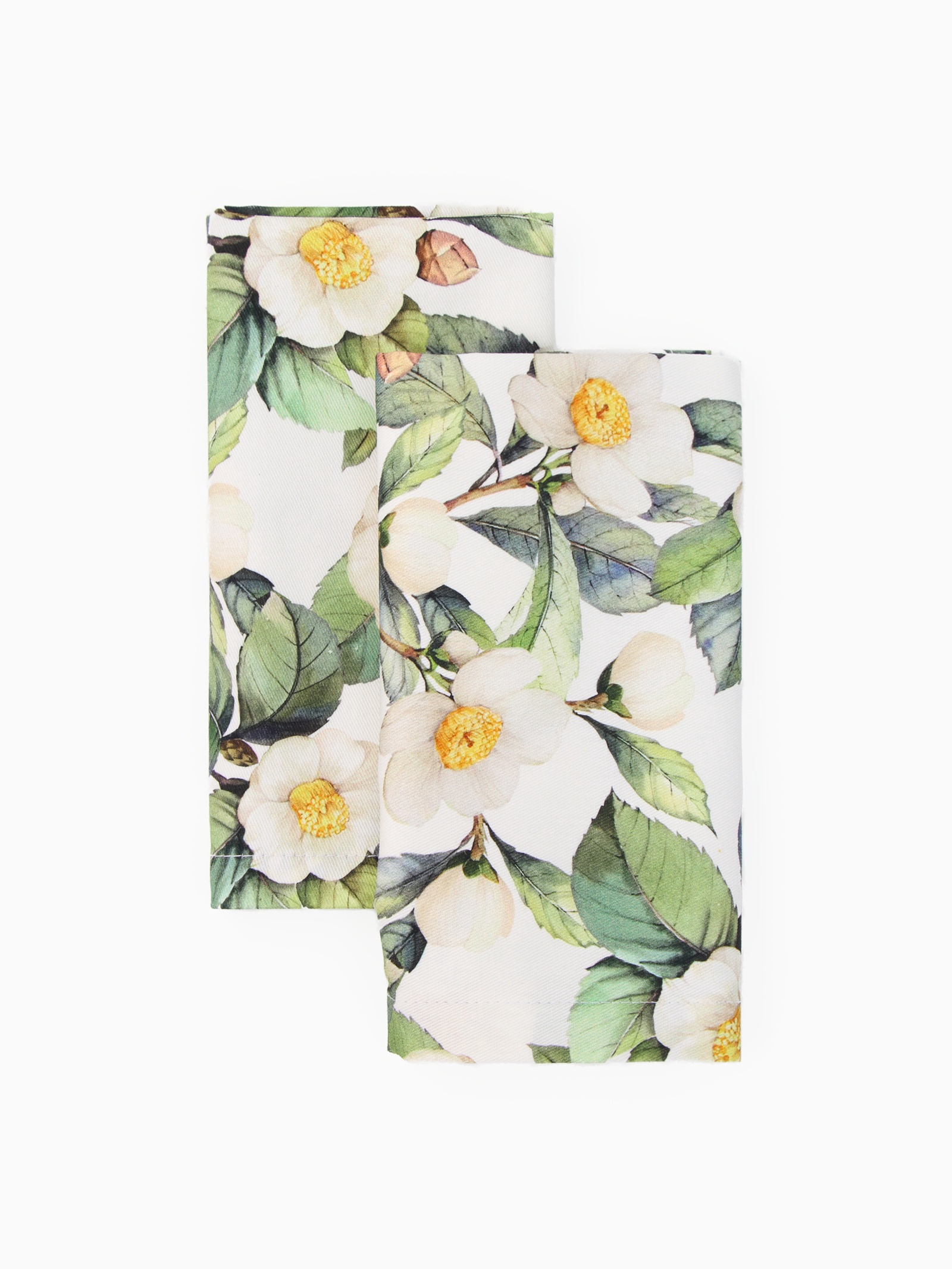 ОсновноеИзображение