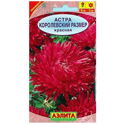 Семена Астра Королевский размер красная Аэлита 