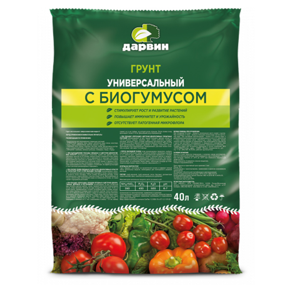 Основное изображение