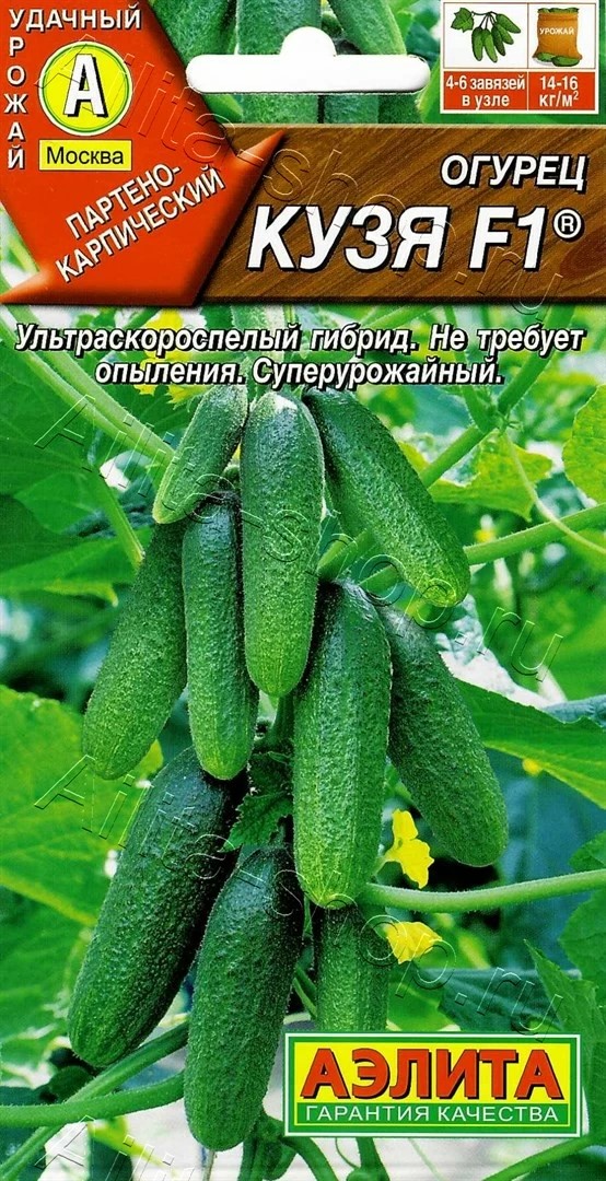 Семена Огурец партенокарпический Кузя F1 10шт Аэлита 