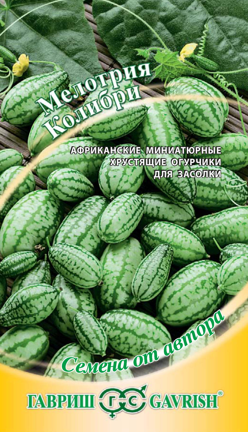 Семена Мелотрия Колибри 20 шт Гавриш 