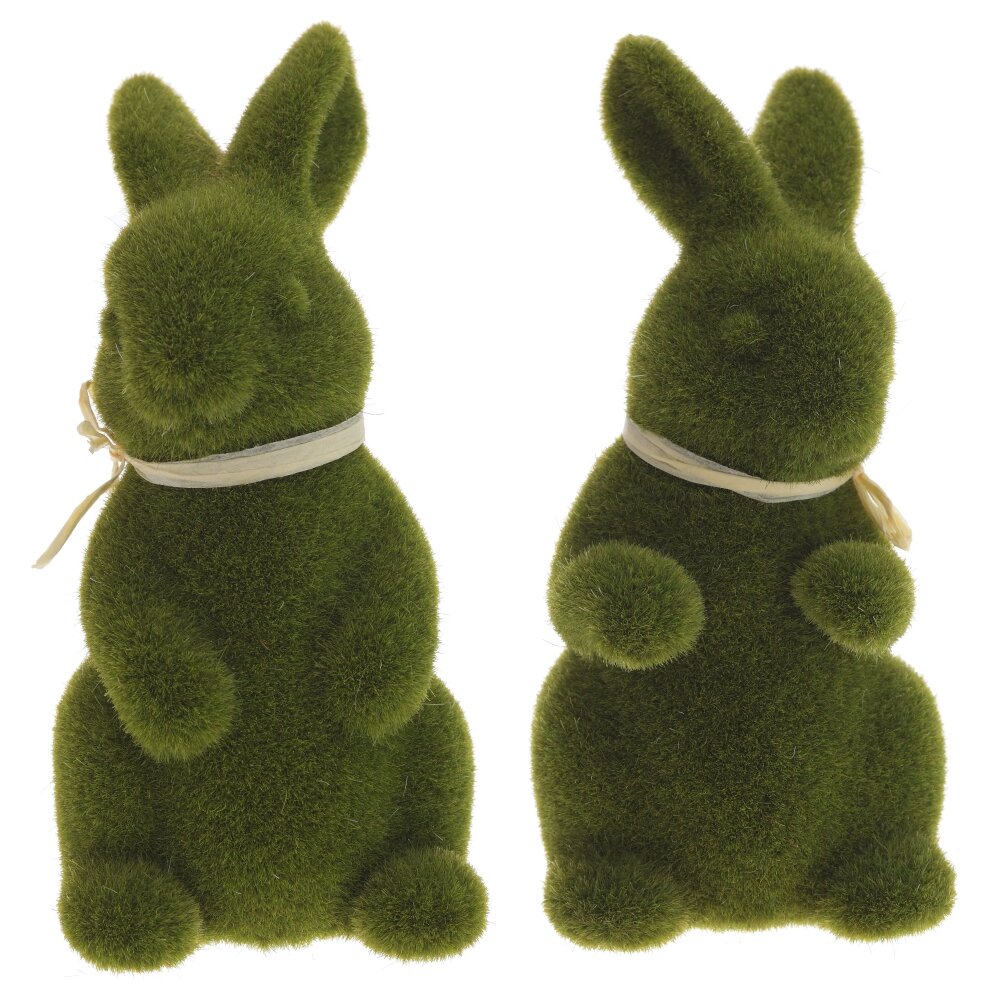 ОсновноеИзображение