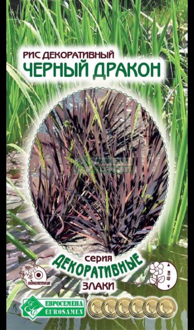 ОсновноеИзображение