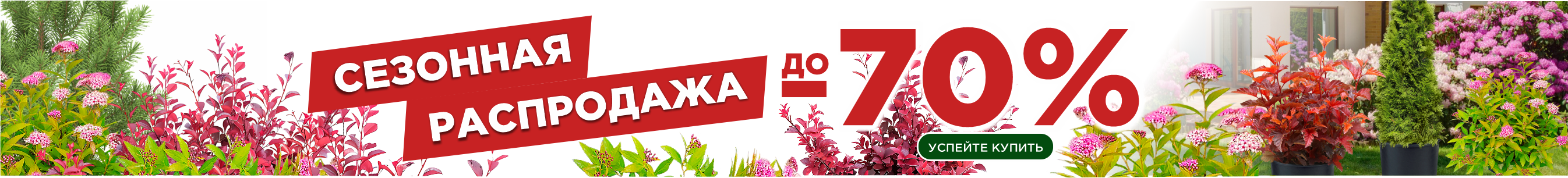 Сезонная распродажа Сезонная распродажа