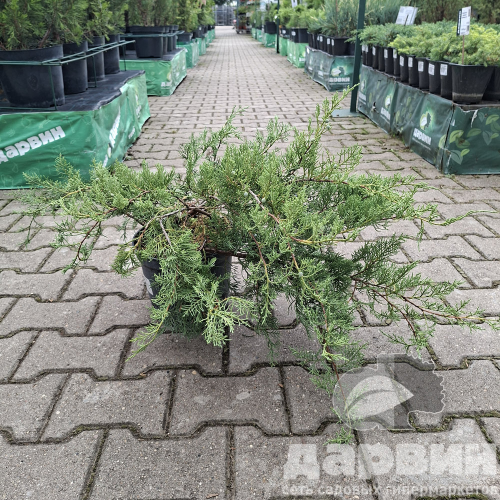 Изображение 3