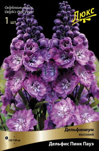 Корневище Дельфиниум высокий Дельфис Пинк Пауэ1 шт Поиск 