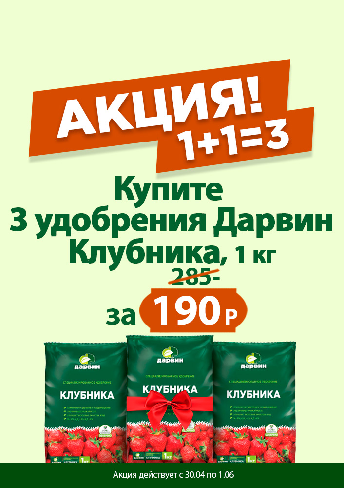 Удобрение для земляники 1+1=3