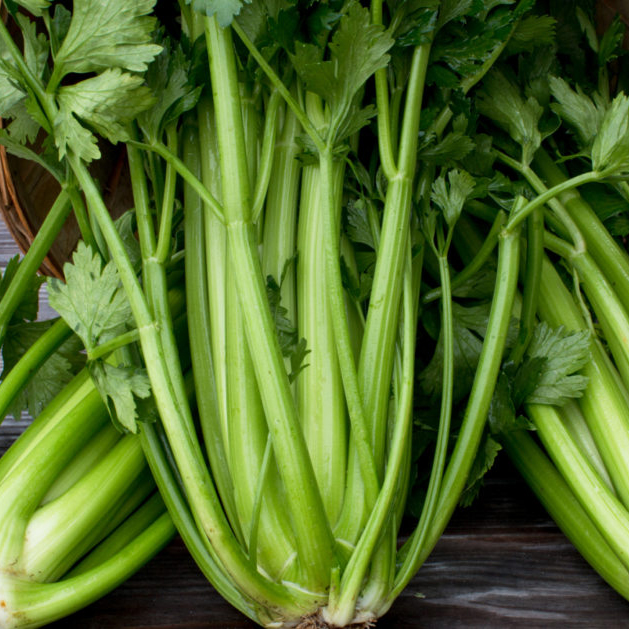 Сельдерей в ассортименте Е10 