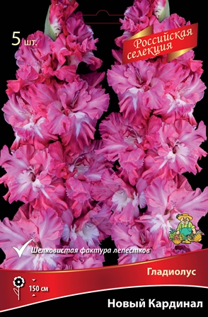 Клубень Гладиолус крупноцветковой Российская селекция Новый Кардинал 10/12 5шт Поиск 