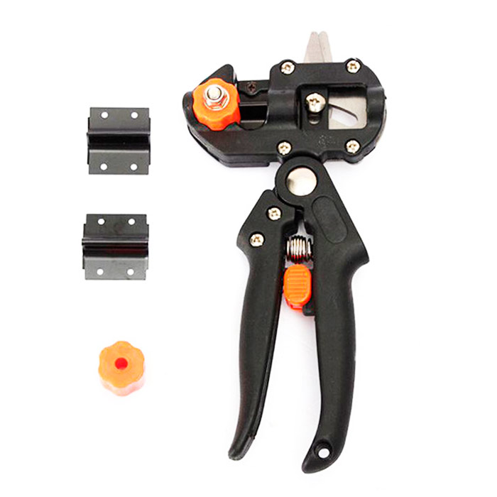 Основное изображение