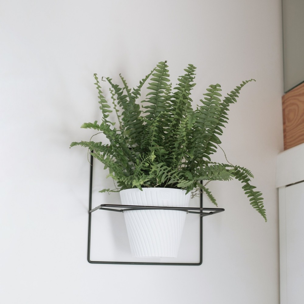 Подставка настенная Ларго квадрат для одного горшка ВипСет d-12,5см металл черный арт.ПЛ5 по цене 