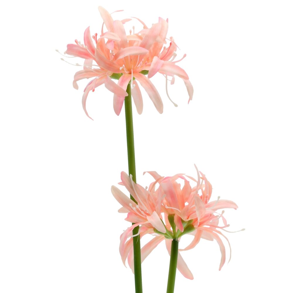 Композиция цветочная Букет 9х9x52см арт.815893 по цене 