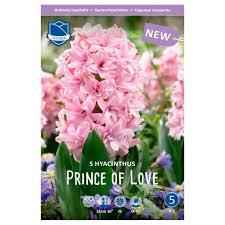 Луковица Гиацинт Принс оф Лав 16/17, 5 шт/уп 