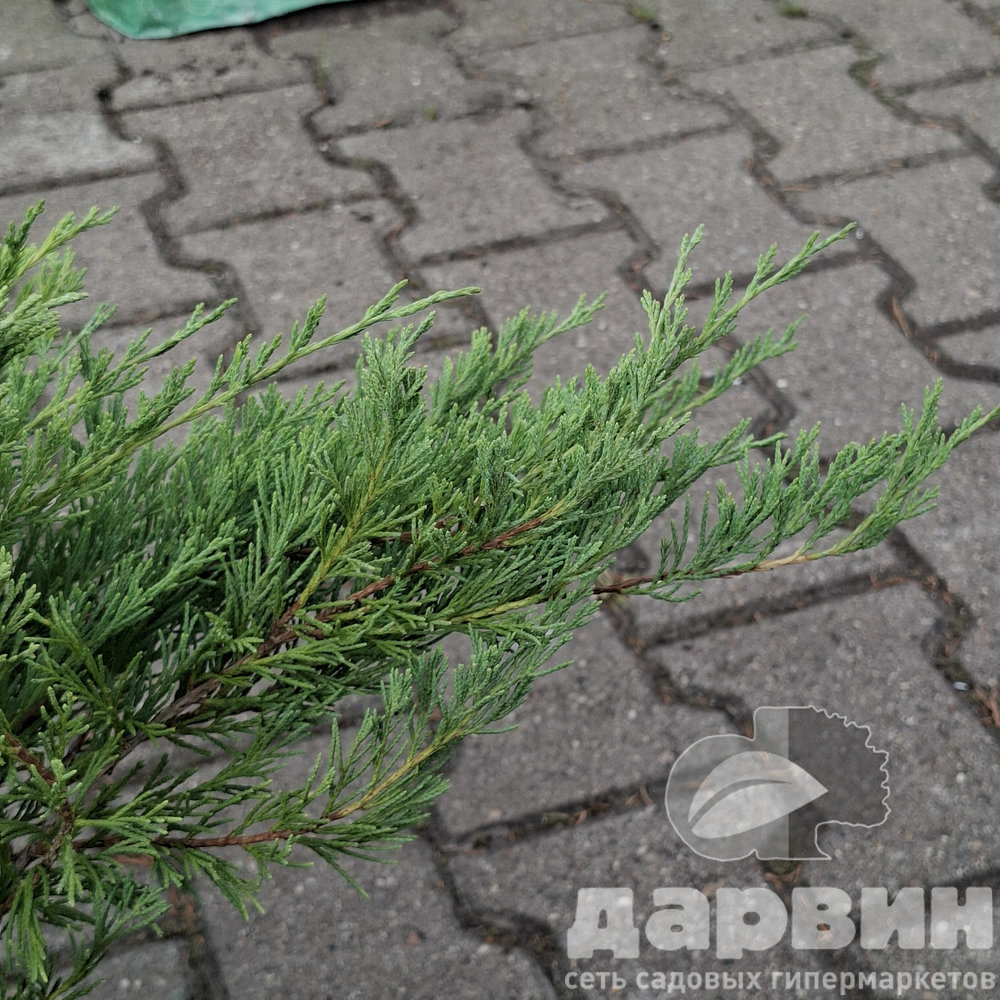 Изображение 5