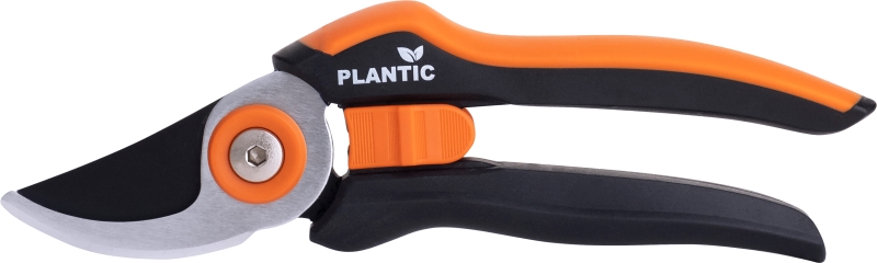 ОсновноеИзображение