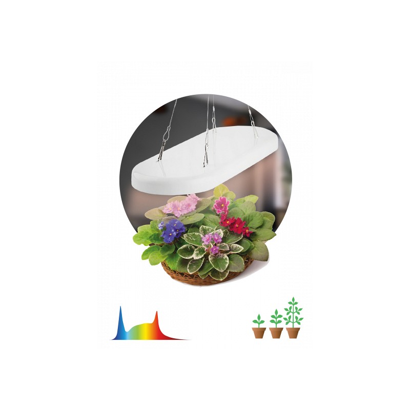 Фитосветильник Эра светодиодный полного спектра 25Вт подвесной по цене 