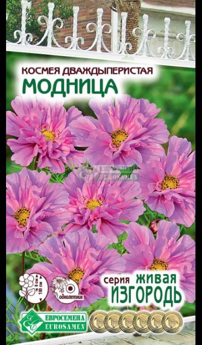 ОсновноеИзображение