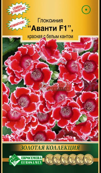 Семена Глоксиния Аванти  F1 красная с бел