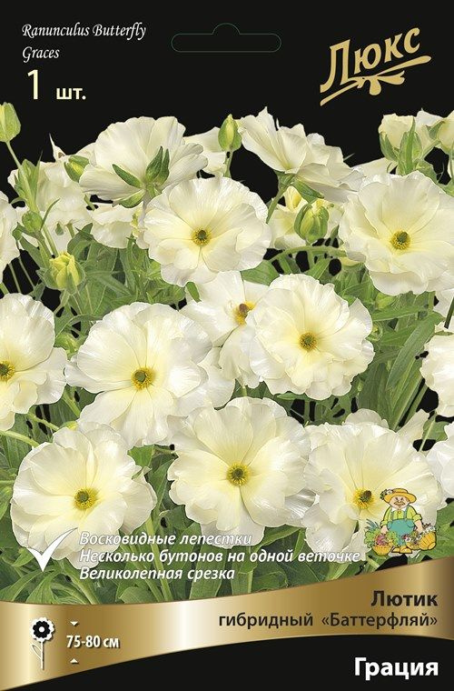 Луковица Лютик серия Баттерфляй Грация 1шт. Поиск 