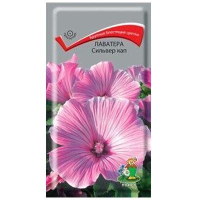 Основное изображение