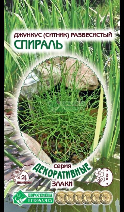 ОсновноеИзображение