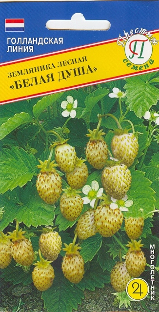 Семена земляника лесная Белая Душа 0,05г Престиж 