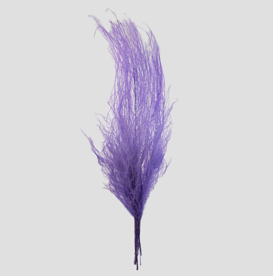 Сухоцветы Аспарагус набор 80гр 80-100см, сиреневый по цене 