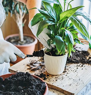 Мастер-классы в «ДАРВИН»: просто и понятно!