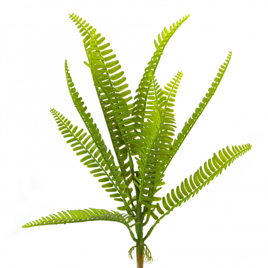 Папоротник на вставке большой зеленый 42см по цене 