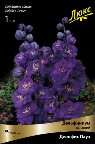 Кореневище Дельфиниум высокий Дельфис Пауэ 1шт Поиск 