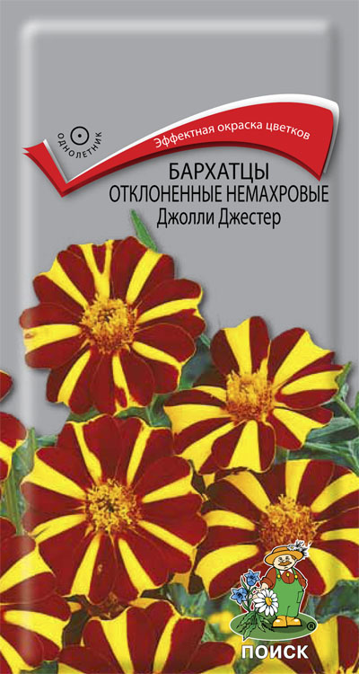 Семена Бархатцы (Тагетес) Джолли Джестер отклоненные немахровые 0,2г Поиск 
