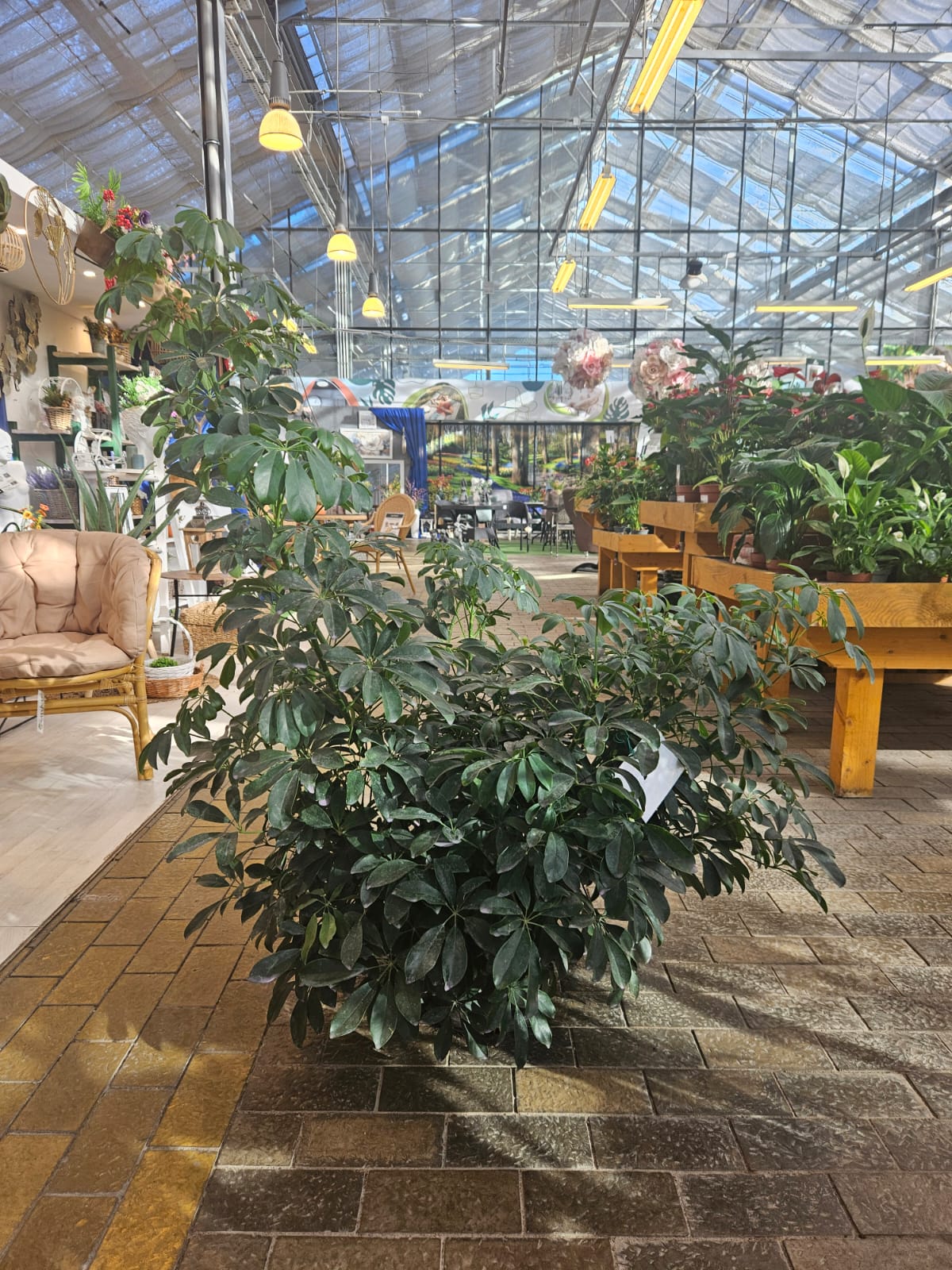 Шеффлера d35 h100-130Tim 