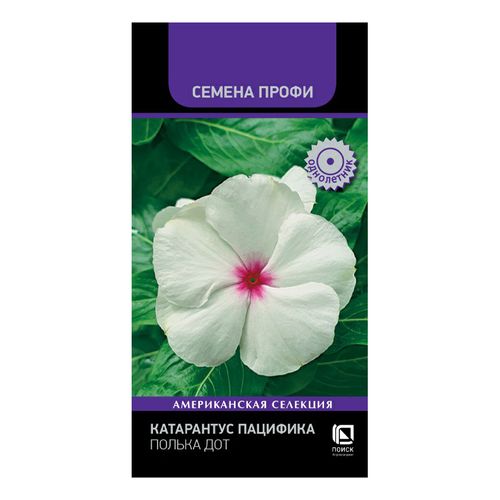 Семена Катарантус Пацифика Полька Дот 10 шт  Поиск 