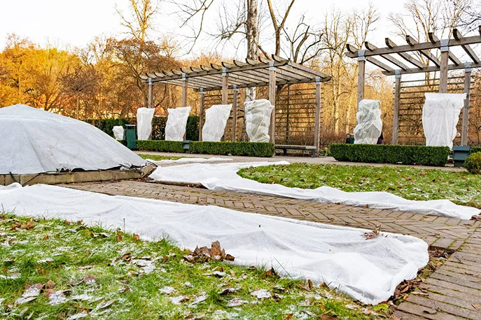 Что необходимо укрыть на зиму?