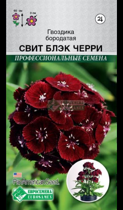 ОсновноеИзображение