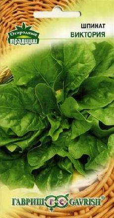 Основное изображение