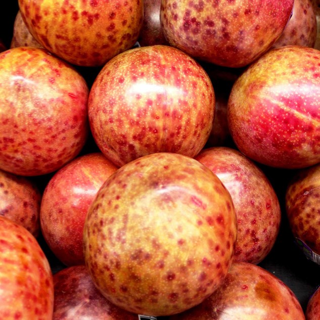 Абрикосово-сливовый гибрид Племкот v7 100-140 Lav 