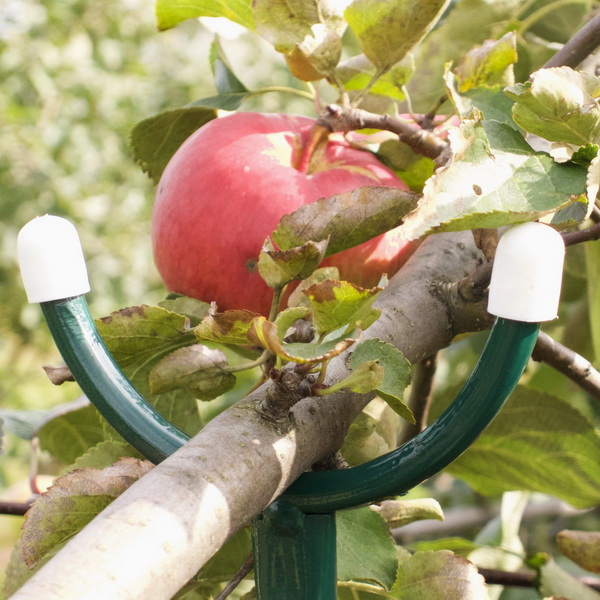 Поддержка для плодовых деревьев 1,6м  по цене 