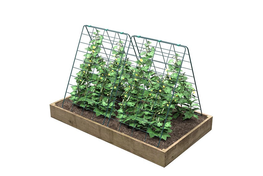 Шпалера металлическая для огурцов 0,6х0,8м ЗШ-604 по цене 