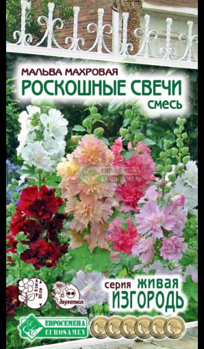 ОсновноеИзображение