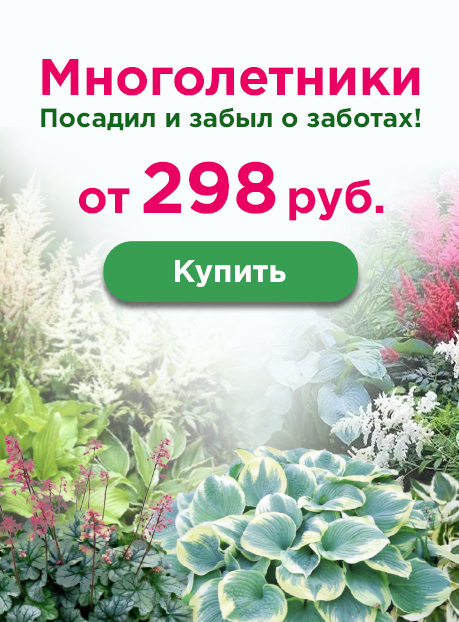 Многолетники