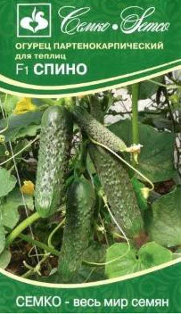 Семена Огурец партенокарпический Спино F1 5 шт Семко 