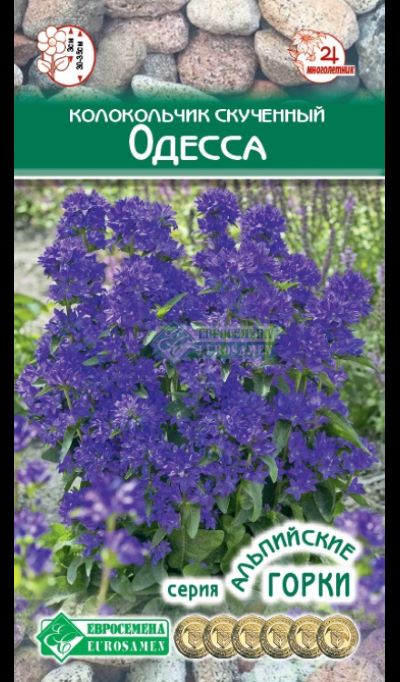 ОсновноеИзображение