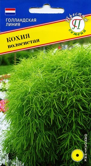 Семена кохия волосистая 1г Престиж 