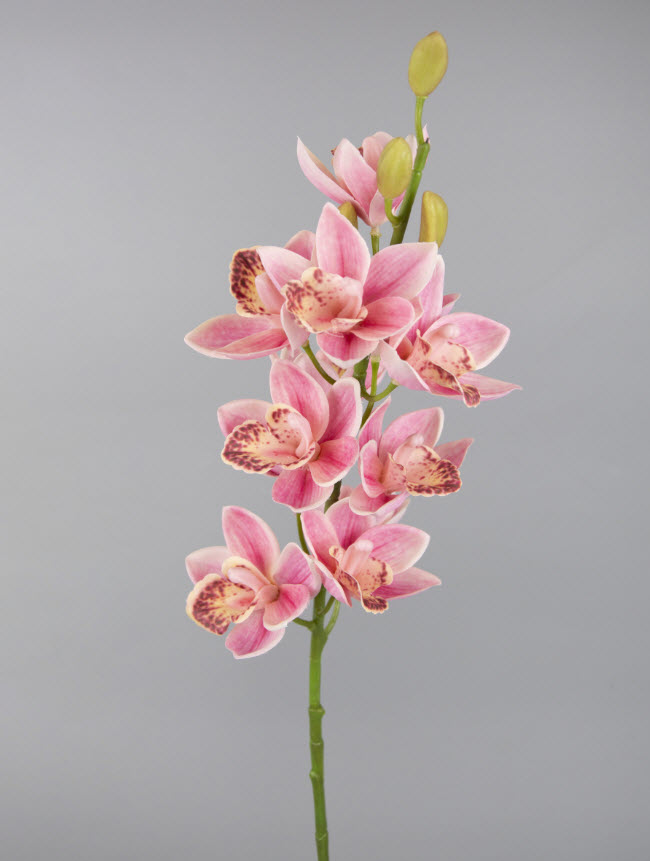 Цветок искусственный Орхидея Цимбидиум 75см, розовый по цене 